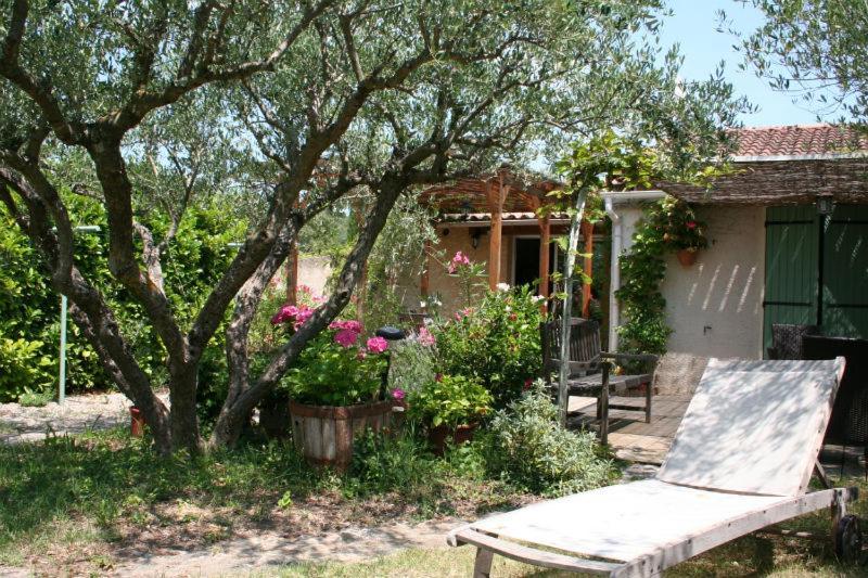 Gite Des Oliviers La Roque-sur-Cèze المظهر الخارجي الصورة
